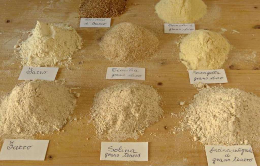 Varietà di grani duri antichi siciliani